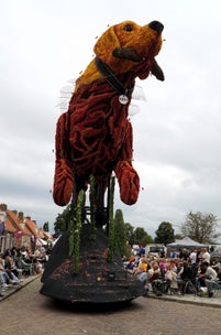dsc02572-standard.jpg