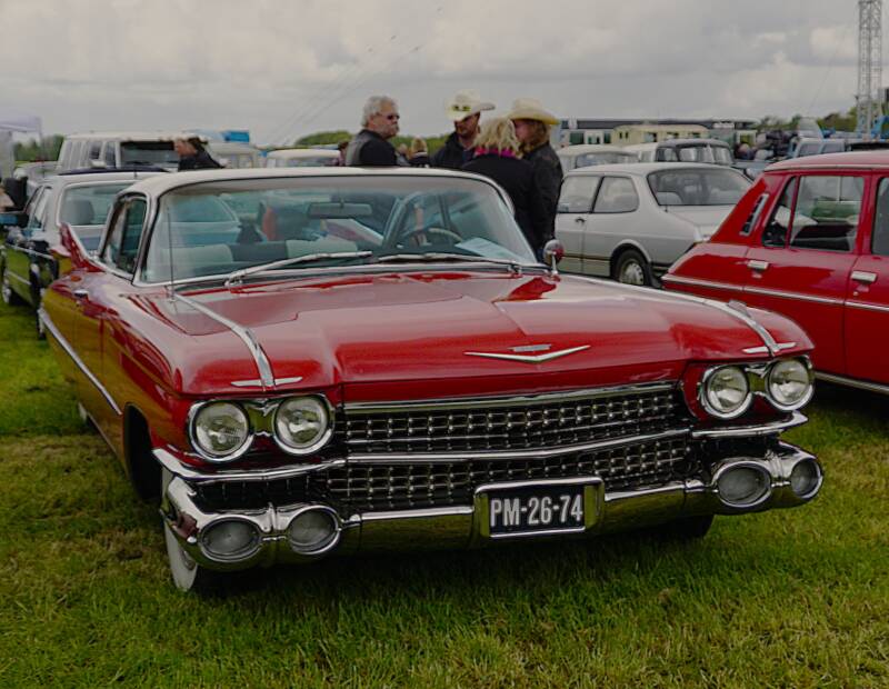 dsc03473-standard-svrot2.jpg