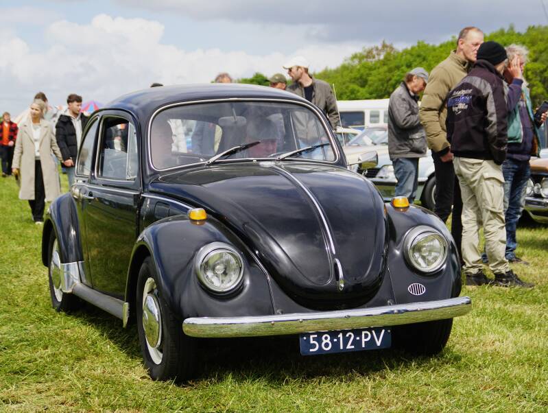 dsc03520-standard.jpg