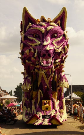 dsc03778-standard.jpg