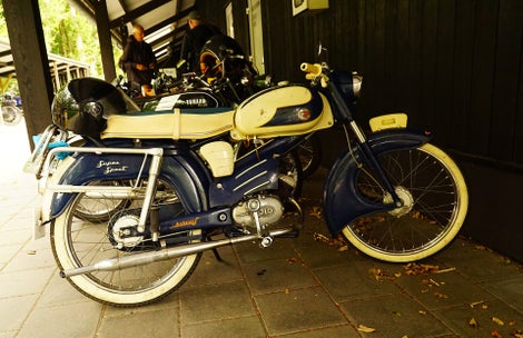 dsc03869-standard.jpg