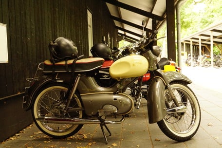 dsc03872-standard.jpg