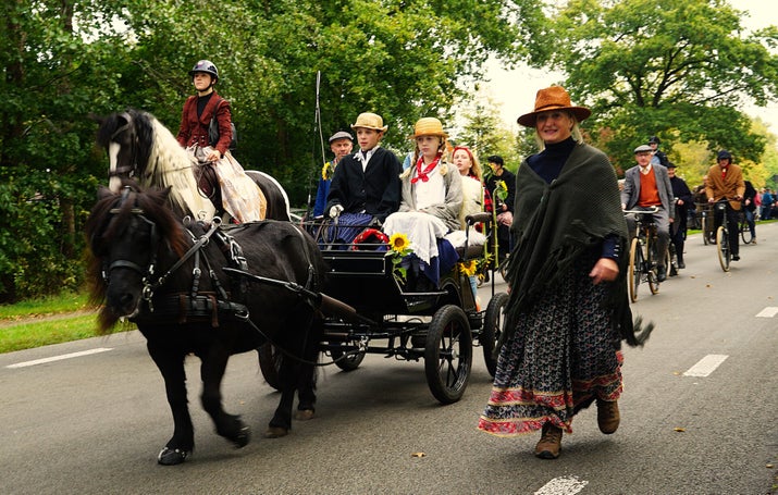 dsc04532-standard.jpg