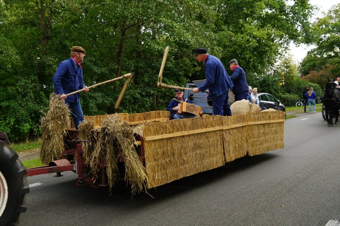 dsc04548-standard.jpg