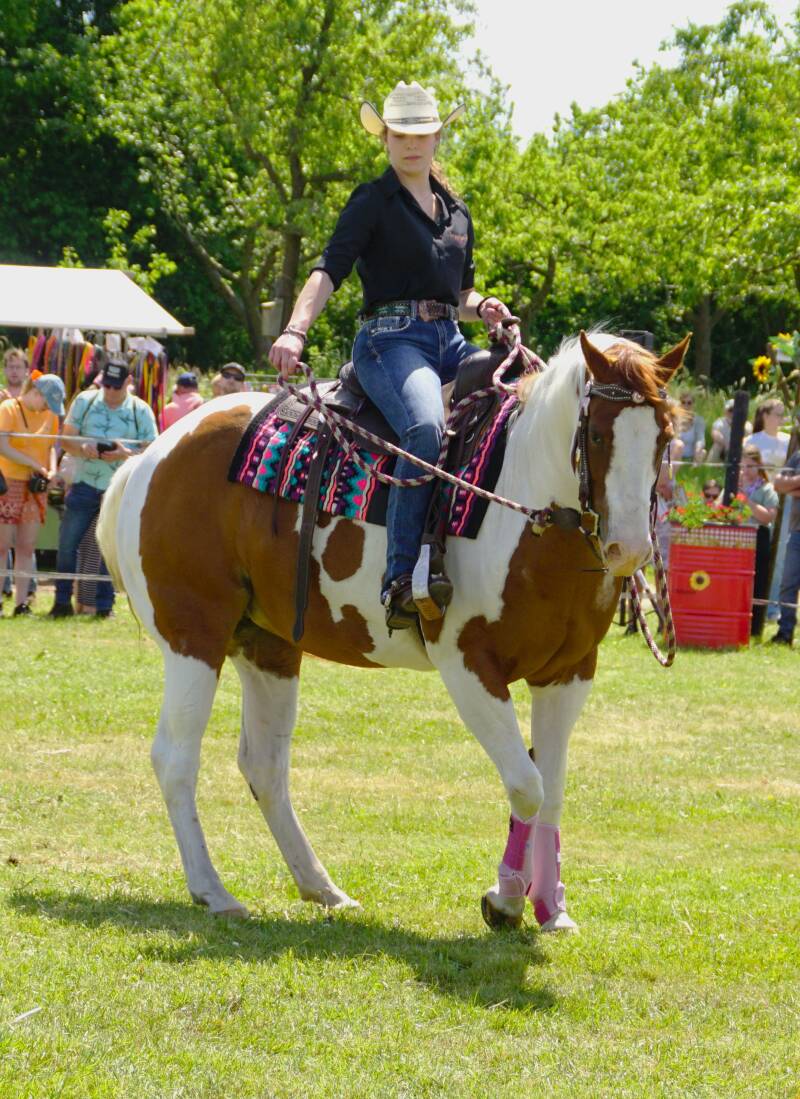 dsc04811-standard.jpg