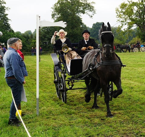 dsc04997-kopie-standard.jpg