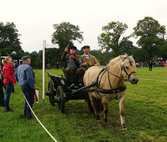 dsc05011-kopie-standard.jpg