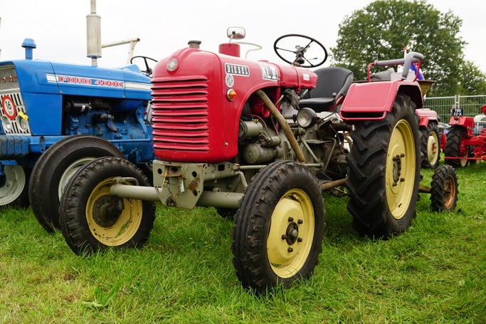 dsc05162-standard.jpg