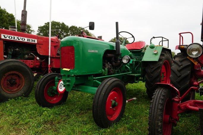 dsc05165-standard.jpg