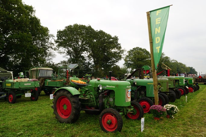 dsc05168-standard.jpg