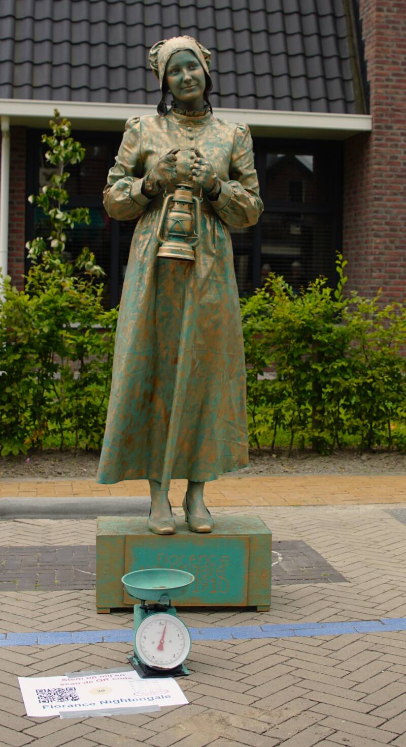 dsc08512-standard.jpg