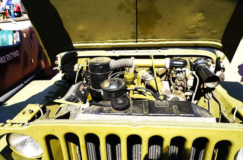 dsc09079-standard.jpg