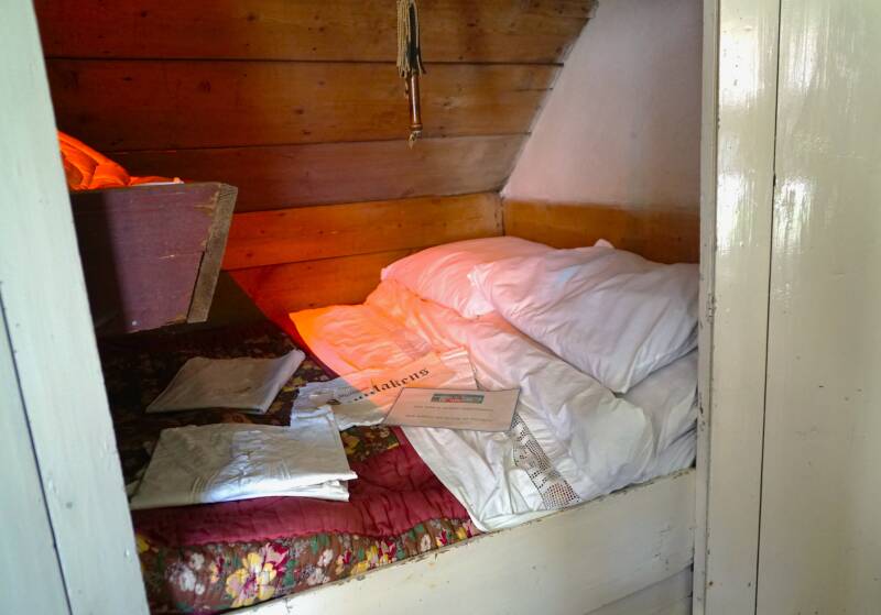 dsc09555-standard.jpg