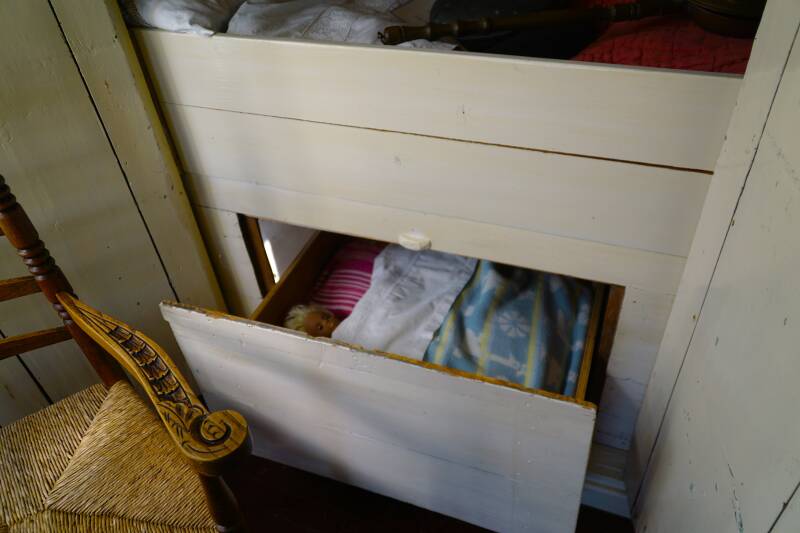 dsc09557-standard-73vqsv.jpg