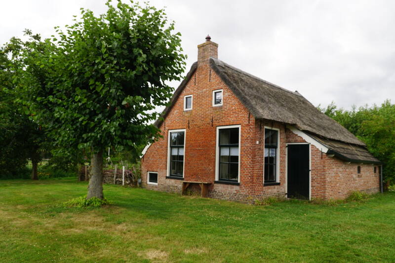 dsc09585-standard.jpg