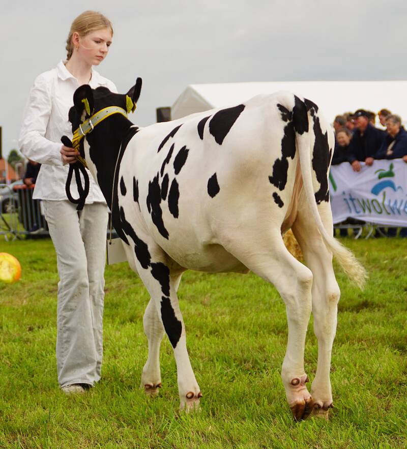 dsc09791-standard.jpg