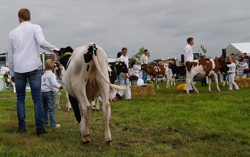 dsc09804-standard.jpg