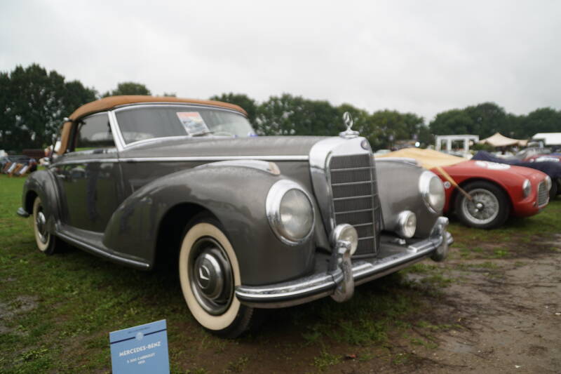 dsc09982-standard-0cxzjx.jpg