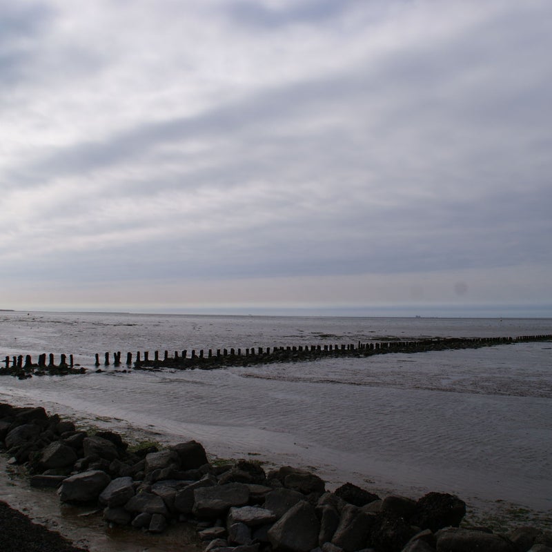 DSC09962.jpg