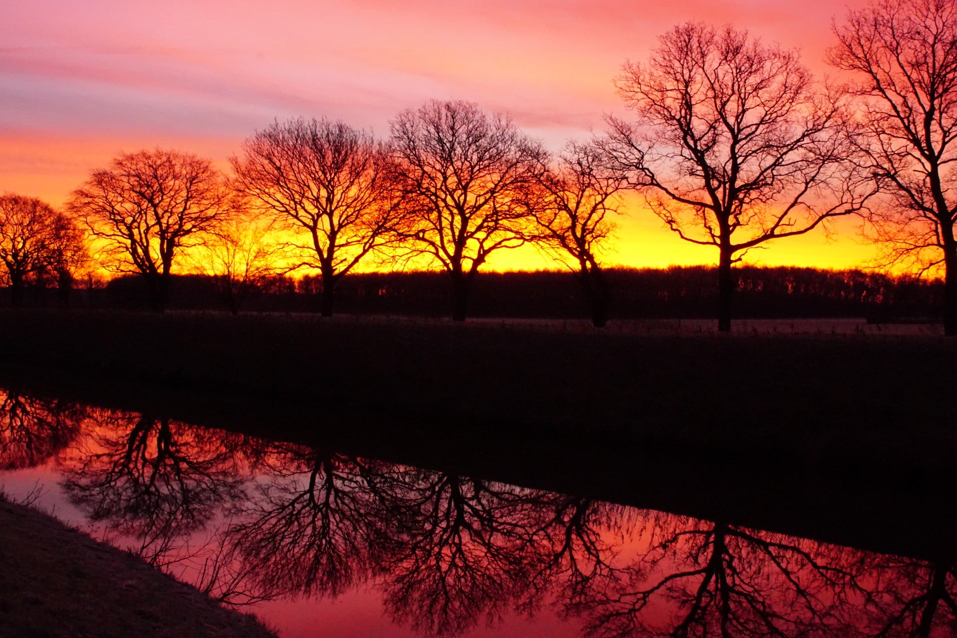 HET GOUDEN UURTJE / Natuur & Landschap / Portfolio Jo&Go Fotografie