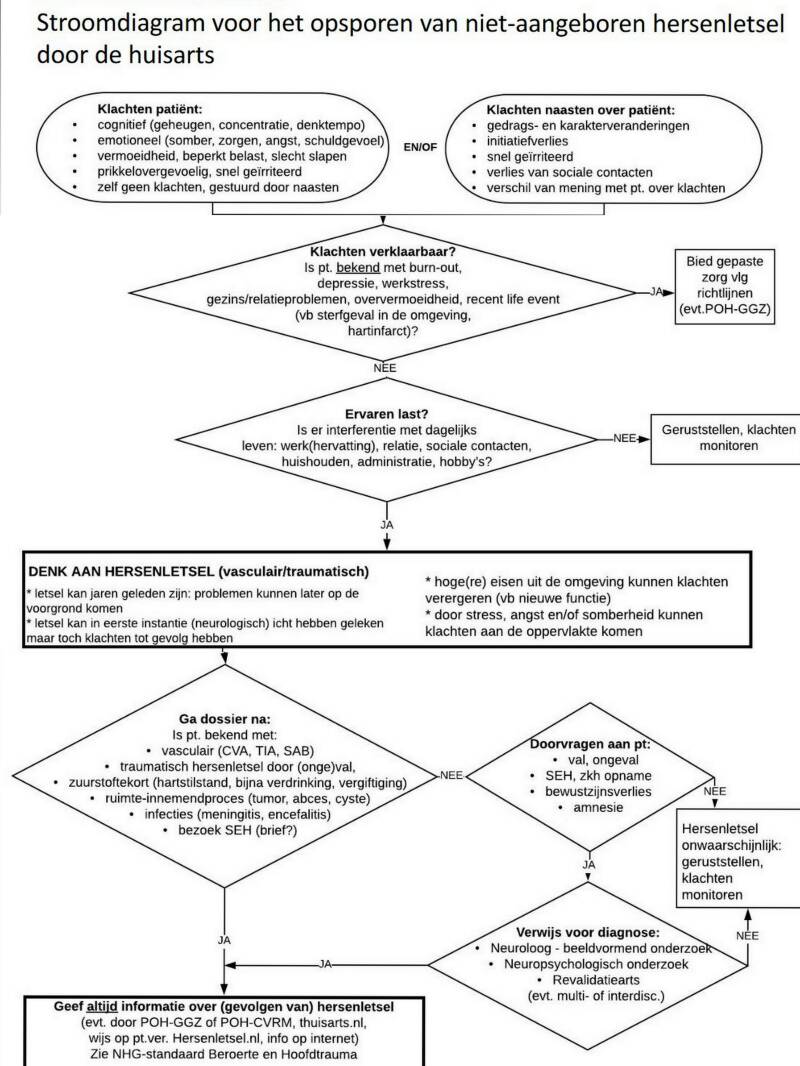 Stroomdiagram hersenletsel voor huisartsen