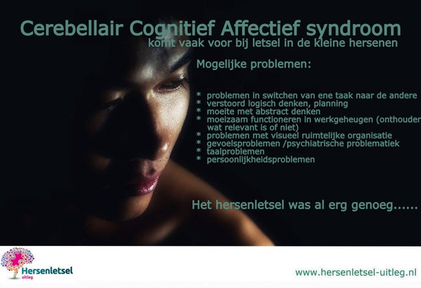 Cerebellum / Kleine hersenen / Gevolgen per hersengebied | Hersenletsel