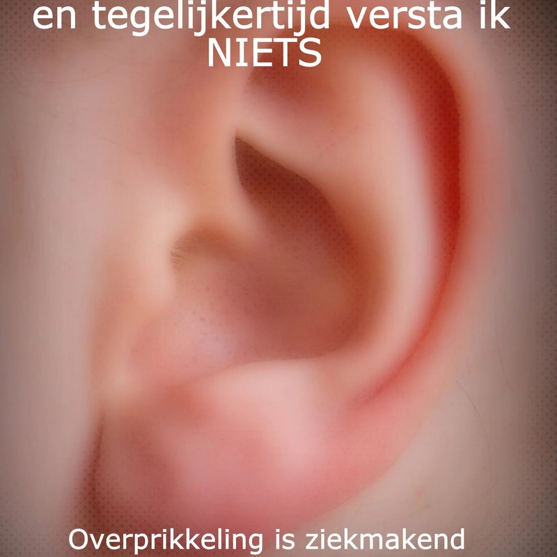 overprikkelingisalsofjealleshoortmaarnietsverstaat.jpg