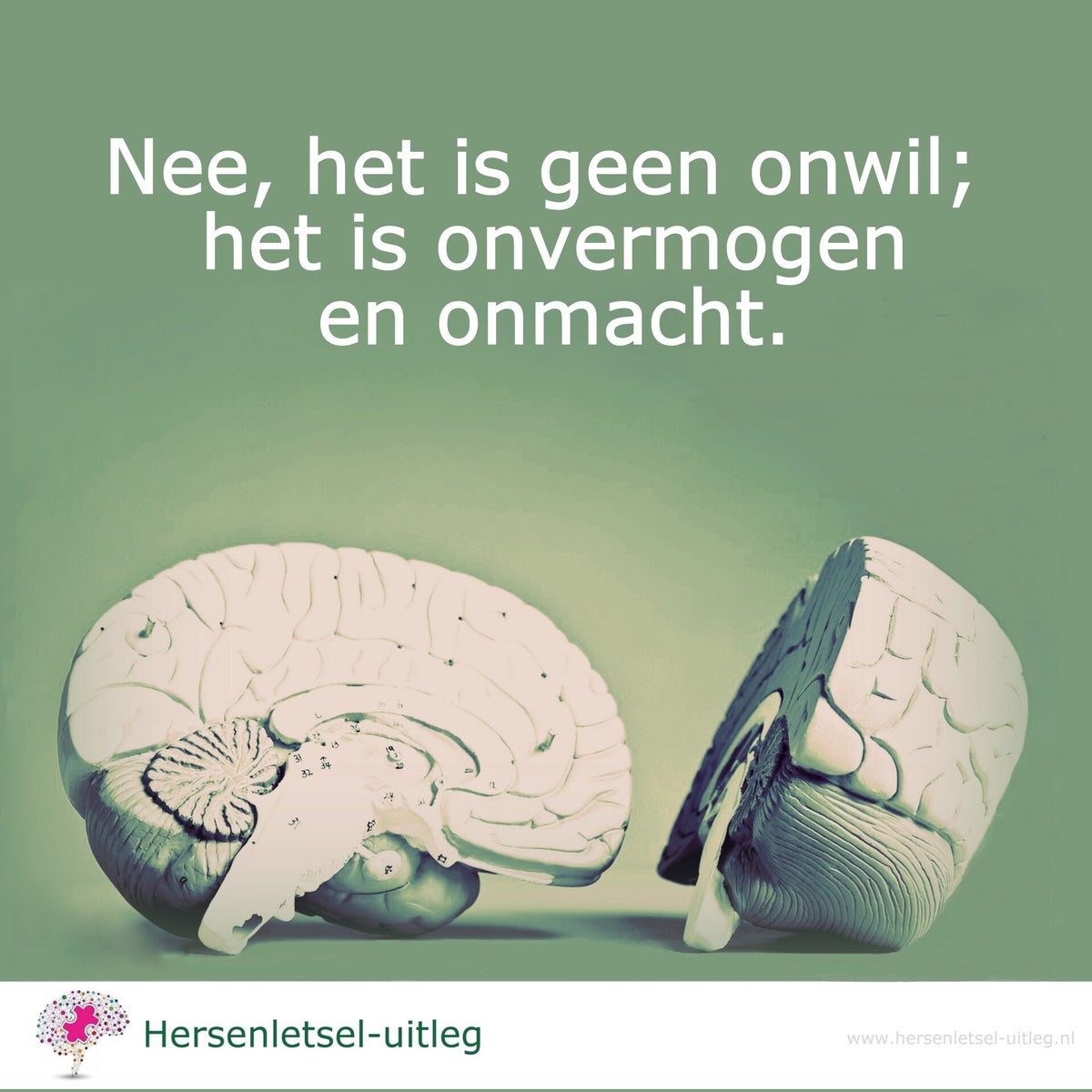 www.hersenletsel-uitleg.nl