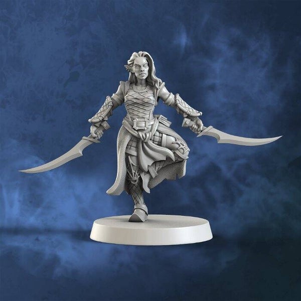 Drow Assassin