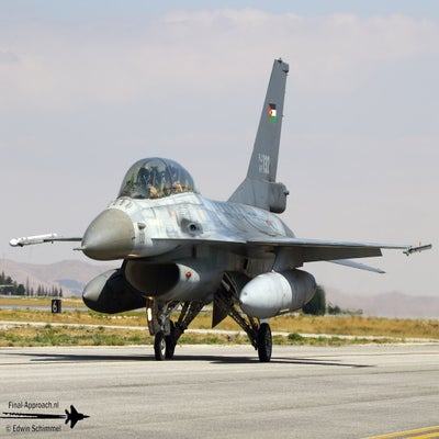 17-standard-ij5su4.jpg