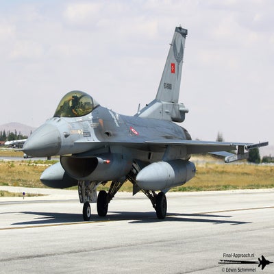 41-standard-qg9qtf.jpg