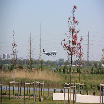 IMG_3573.jpg
