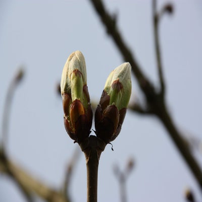 IMG_8900.jpg