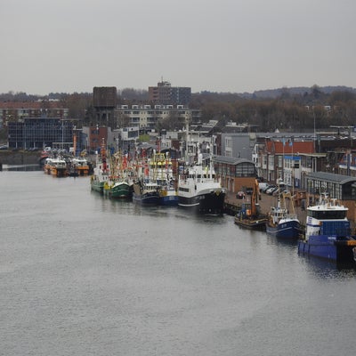 DSCN9582.jpg