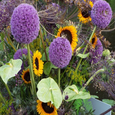 DSCF2608.jpg