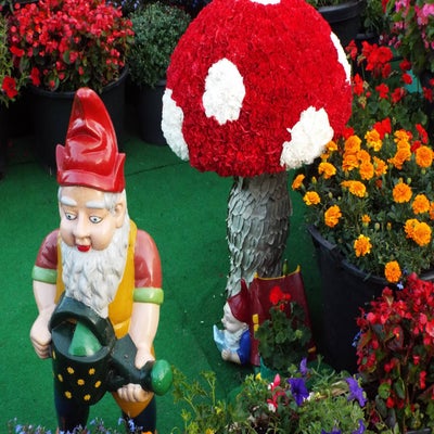 DSCF2649.jpg