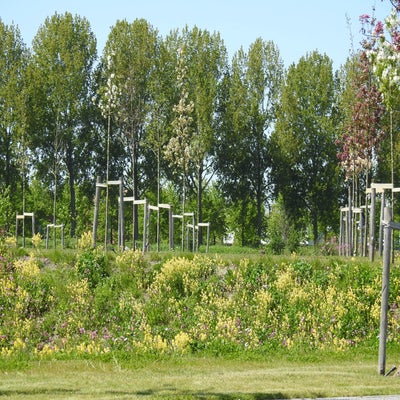 DSCN5210.jpg
