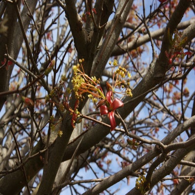 IMG_8829.jpg