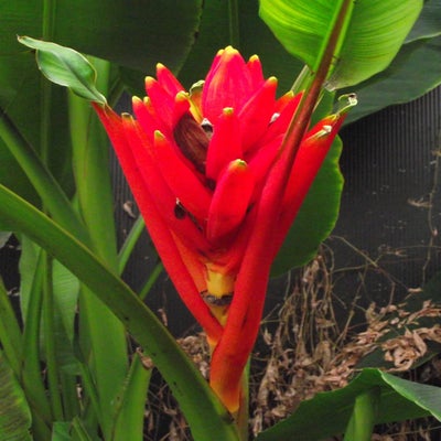 DSCF8607.jpg