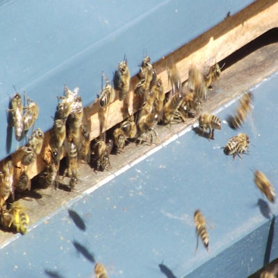 DSCF5198.jpg