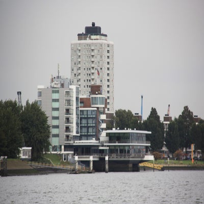IMG_7106.jpg