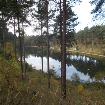 DSCN2520.jpg
