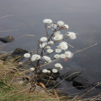 IMG_7210.jpg