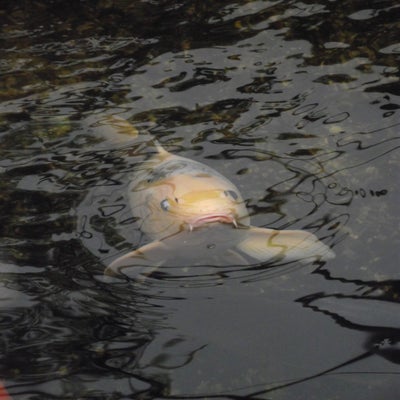 DSCF8614.jpg