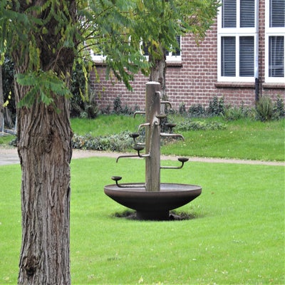 DSCN9517.jpg