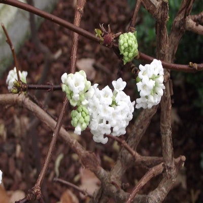 DSCF8633.jpg
