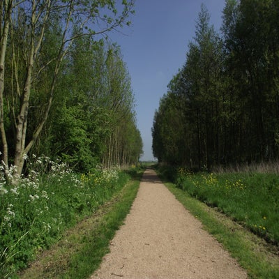 011-2.jpg
