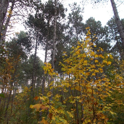 DSCN2541.jpg