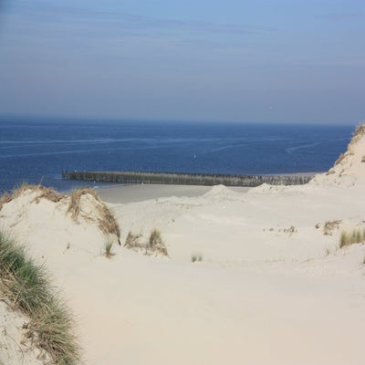 IMG_9480.jpg
