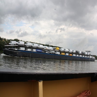 IMG_9086JPG.jpg